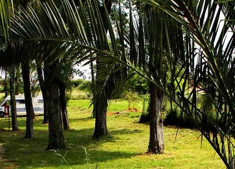 Camping Angeiras, 3* - 41