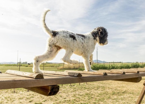 Gitavillage Talamone - 39