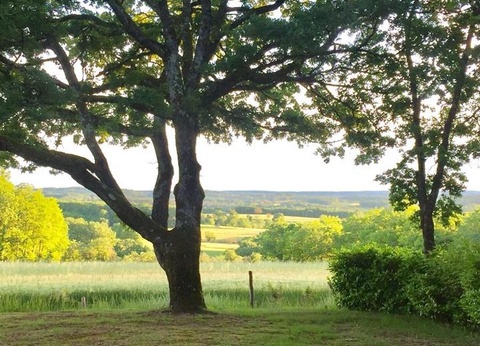 Camping Sites et Paysages - Les Hirondelles, 4* - 33