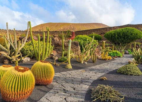 Combiné THB Flora 3* by Ôvoyages & Smart Club SMY Tahona 3* - 2