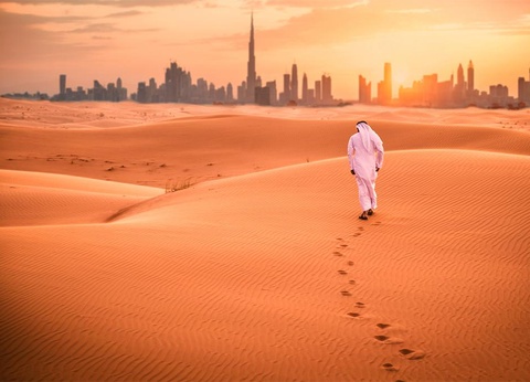 Ôcity Xperience Arabian Park Dubai, an Edge by Rotana 3* - 14