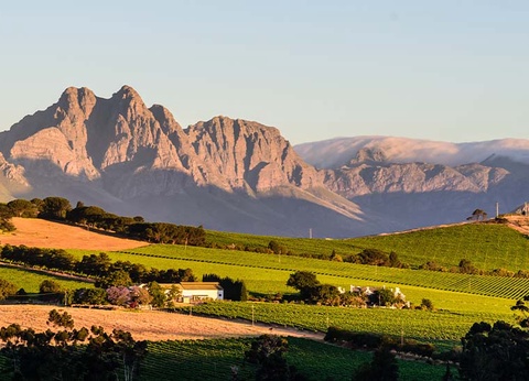 Circuit Afrique Australe, du Cap et Hermanus aux chutes Victoria - 7