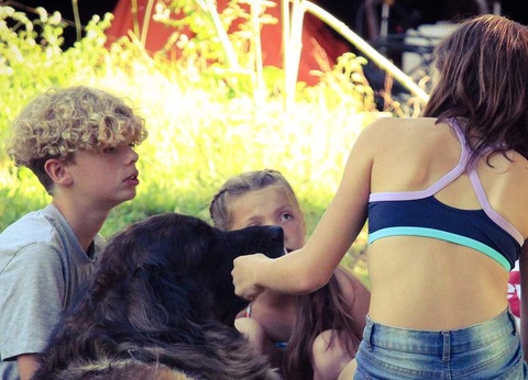 Camping maeva Escapades Le Lac de Laval-de-Cère, 3* - 15