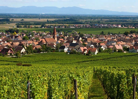 Parenthèse gourmande avec dégustation de vin dans un 4* en Alsace - 4* - 16