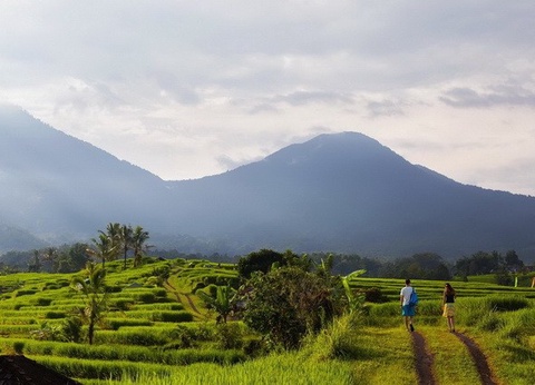 Circuit Privé Singapour et Flânerie balinaise, Indonésie - 13