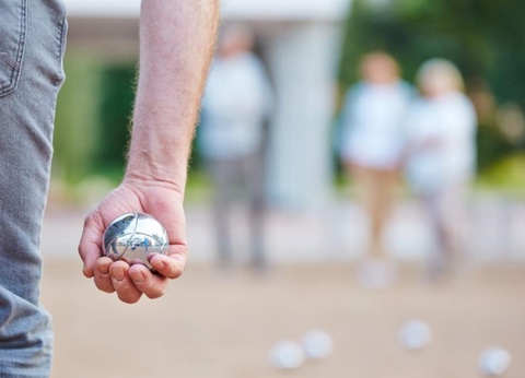 Country Park - Caming Les Etangs Fleuris 3* - 35