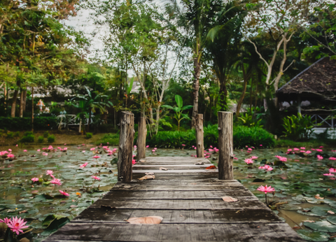 Séjour Koh Yao Noi et Phuket 4* - 12