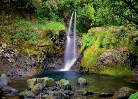 Circuit Echappée Sentiers de Madère depuis l'hôtel Cabo Girão 4* - 2
