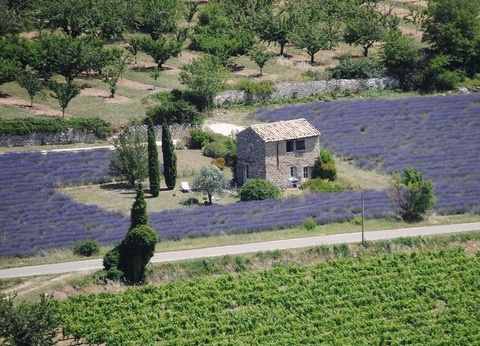 Camping Les Routes de Provence - Ciela Village, 3* - 22