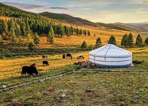 La Mongolie, au Pays du Grand Ciel (petit groupe - 6-12 pers.) - 8