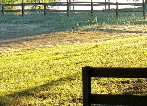 Camping Les Lacs d'Armagnac, 4* - 37