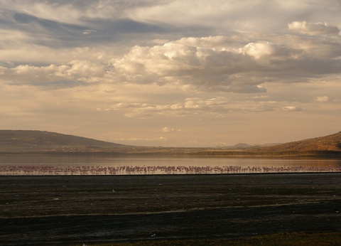 Safari Féeries d'Afrique - 11