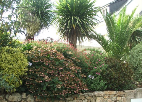 Camping A L'Abri de l'Océan, 3* - 55