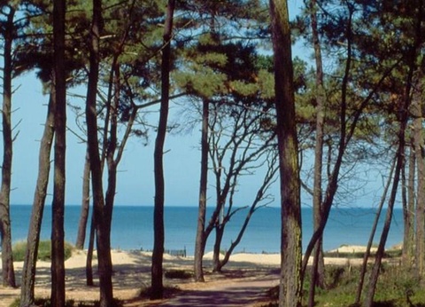 Camping du Petit Pont, 3* - 4