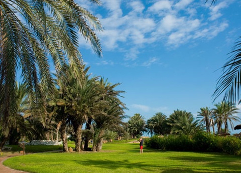 Hôtel Odyssee Resort Thalasso & Spa 4* - 3