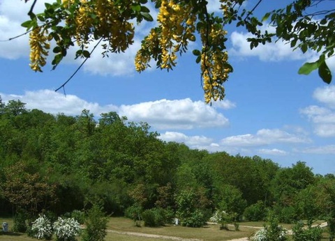 Camping Château de Lacomté, 4* - 41