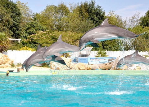 Tour du monde animalier en famille - 4* - 16