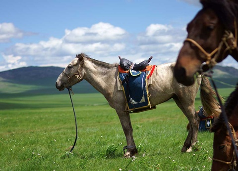 Circuit Majestueux empire de Gengis Khan - 10