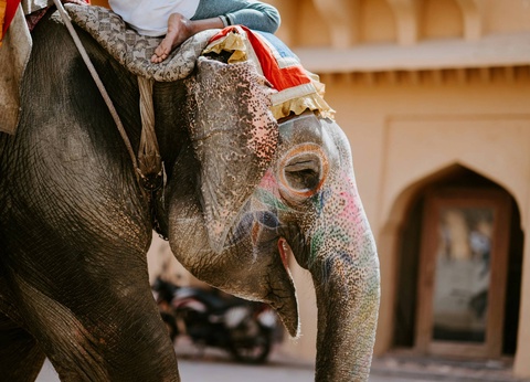 Circuit Sur la route des maharadjas - 7