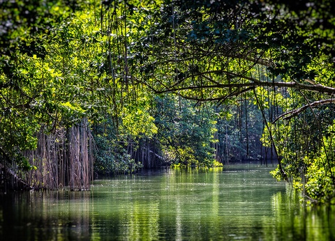 Hôtel Riu Palace Tropical Bay 5* - 15