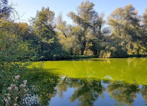 Camping les Etangs du Plessac 4* - 6