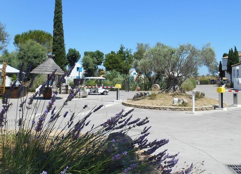 Camping Le Camarguais, 3* - 8