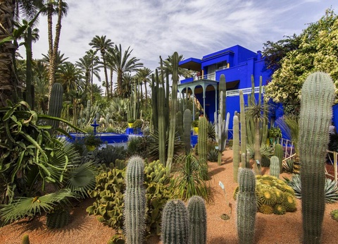 Riad Miel & Citron & Spa - 13