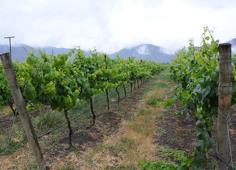 Road Trip Echappée Chilienne - 13