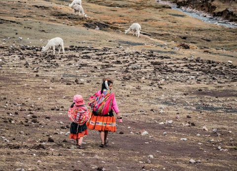 Circuit Escapade au Pérou (petit groupe) & extension Amazonie - 15