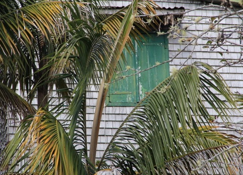 Circuit Couleurs de La Réunion - 14