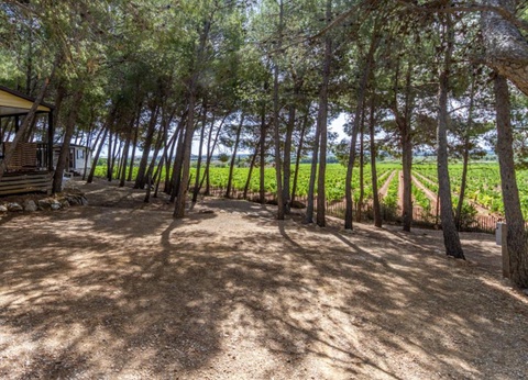 Camping Le Bois de Pins, 3* - 34