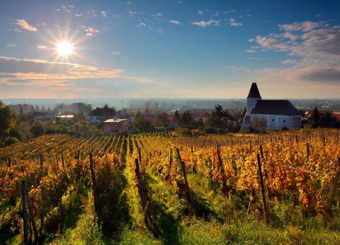 Séjour détente avec dégustation au cœur des Châteaux de la Loire 4* - 2