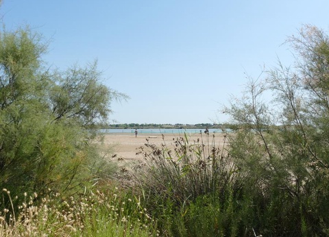 Camping Bleu Marine, 4* - 54