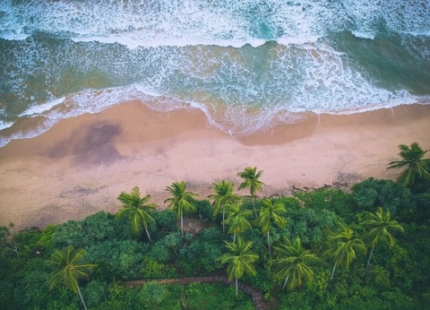 Circuit au Sri Lanka: L'île émeraude - De Colombo A Colombo - 9