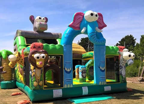 Camping du Domaine de l'Auzance, 3* - 16