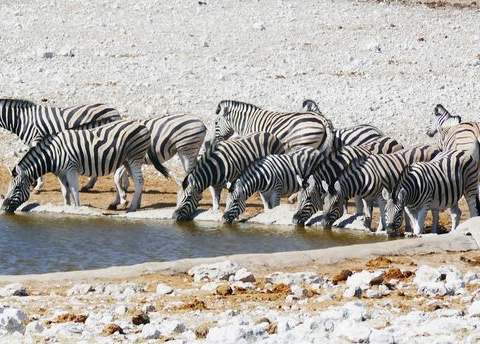 Circuit Splendeurs de Namibie et Séjour Fish River Canyon 15J/12N - 9