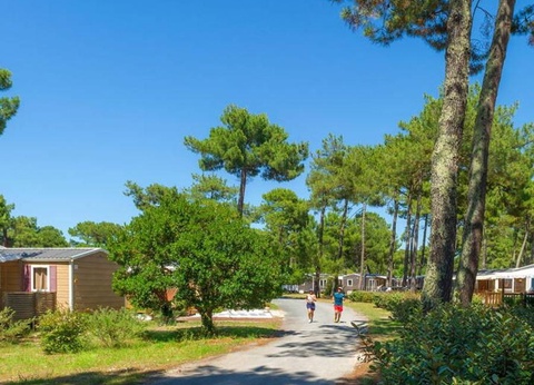 Camping Atlantic Club Montalivet, 5* - 87