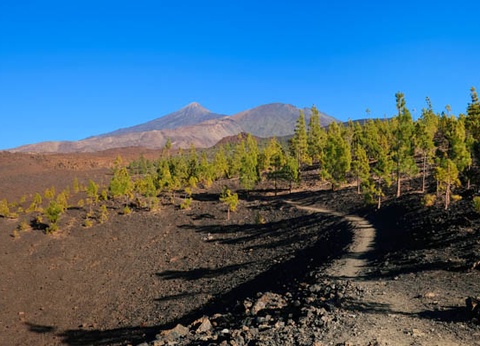 Circuit Randonnée entre océan et Teide, logement au Club Jumbo Bluesea Puerto Resort 3* - 5