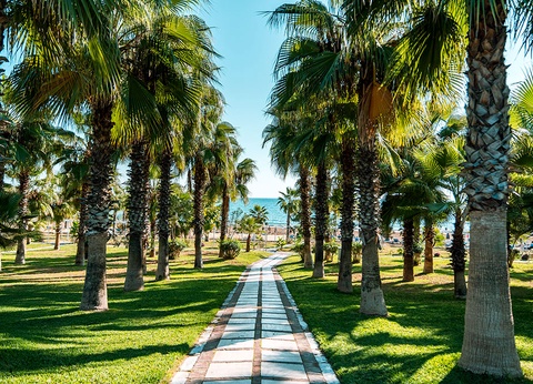 Sural Resort Hotel 5* - 3