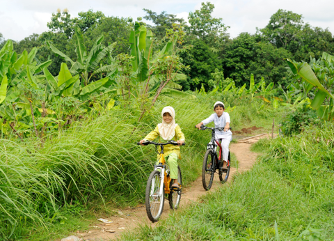 Circuit Bali Saveurs et Traditions 4* - 5