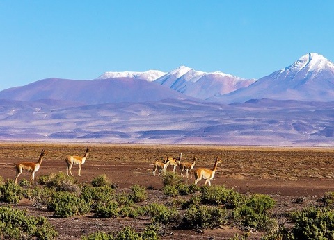 Circuit Trésors du Pérou *** - 17