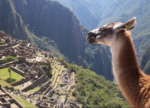 Circuit Les Trésors du Pérou - 10