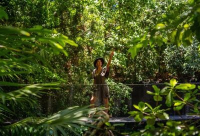 Hôtel Sandos Caracol Nature Resort et Water Park 5* - 19