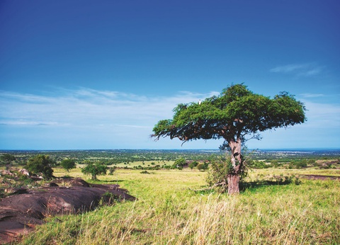 Combiné Kenya Tanzanie et Balnéaire à Zanzibar - 7