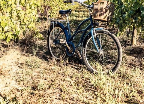 Camping Romanée - le Cormoran, 5* - 56