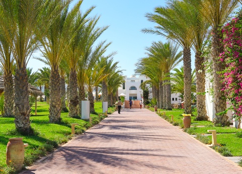 Hôtel Palm Azur 4 - 11