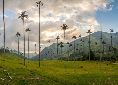 Couleurs de Colombie - 11J/9N - Limité à 18 pers. - 5