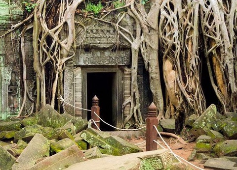 LA CANTATE DU MEKONG PT PANORAMA CAT DELUXE - 4