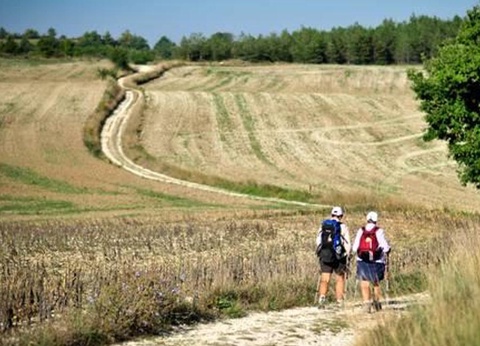 Camping Les Bois de Prayssac, 3* - 36