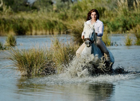Séjour romantique avec Lovebox et champagne au coeur de la Camargue - 3* - 13